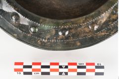 Foto von Bronzebreitrandschale (NHMW-PRAE-025247)